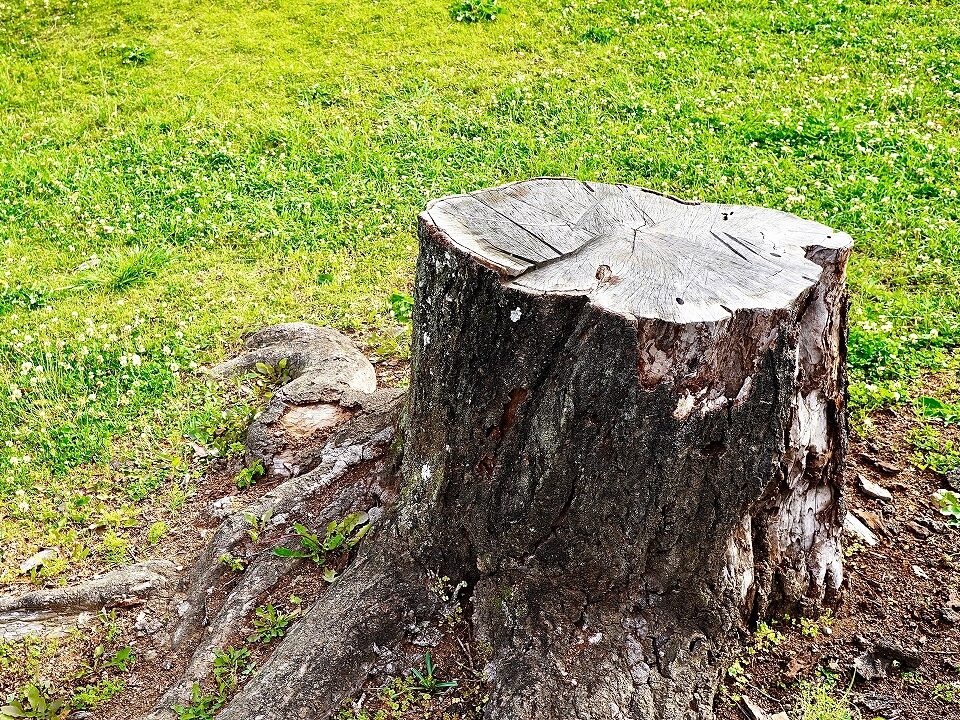 AdobeStock_620563633